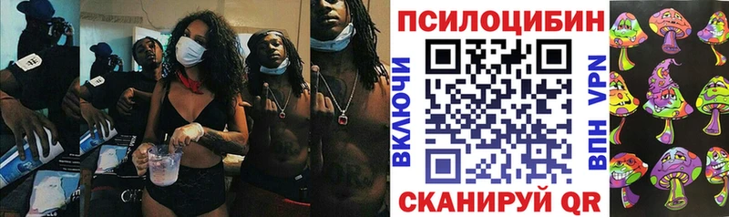 купить   Благовещенск  Галлюциногенные грибы Psilocybe 