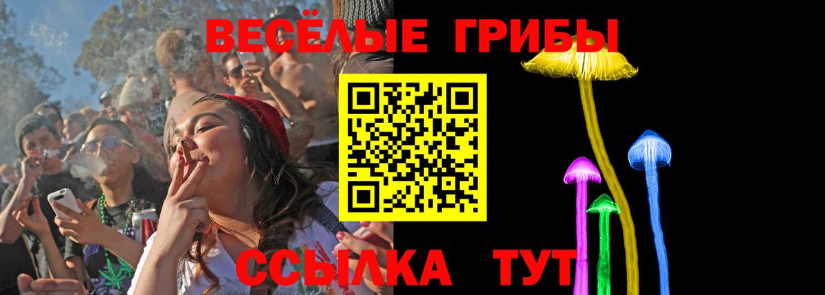 Псилоцибиновые грибы MAGIC MUSHROOMS Благовещенск